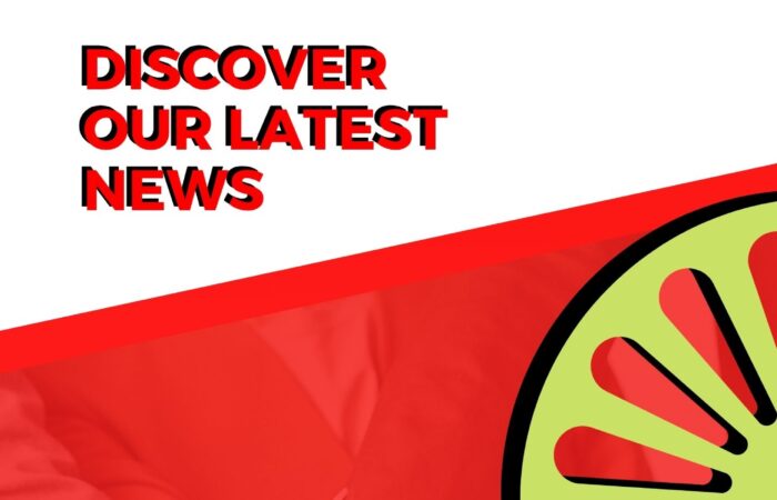 Αντίγραφο του BOOKLET NEWSLETTER PAL NETWORK TEMPLATE